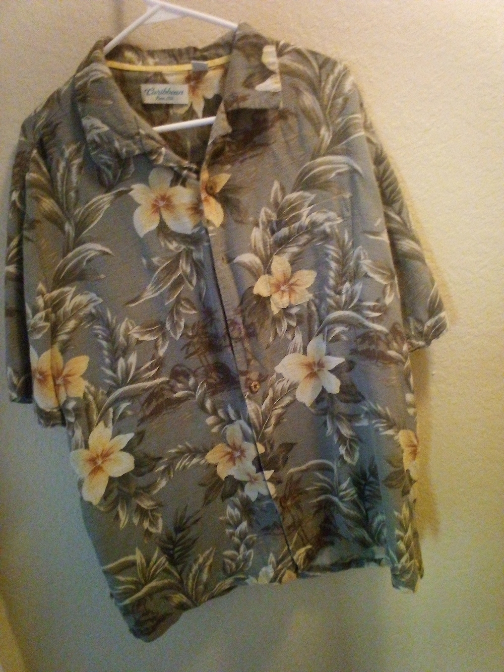 Silk Shirt